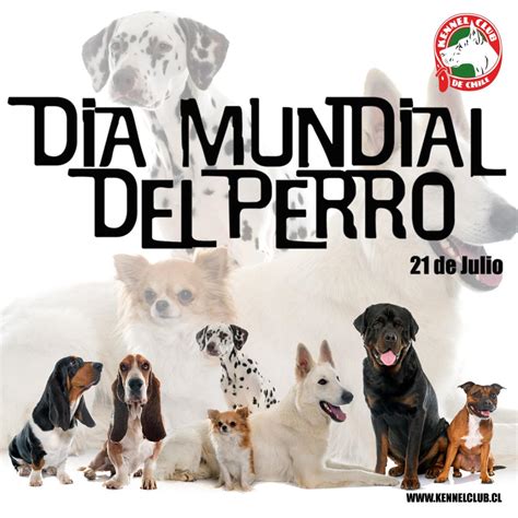 dia mundial del perro 2021